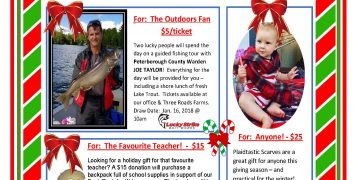 Holiday Wish List