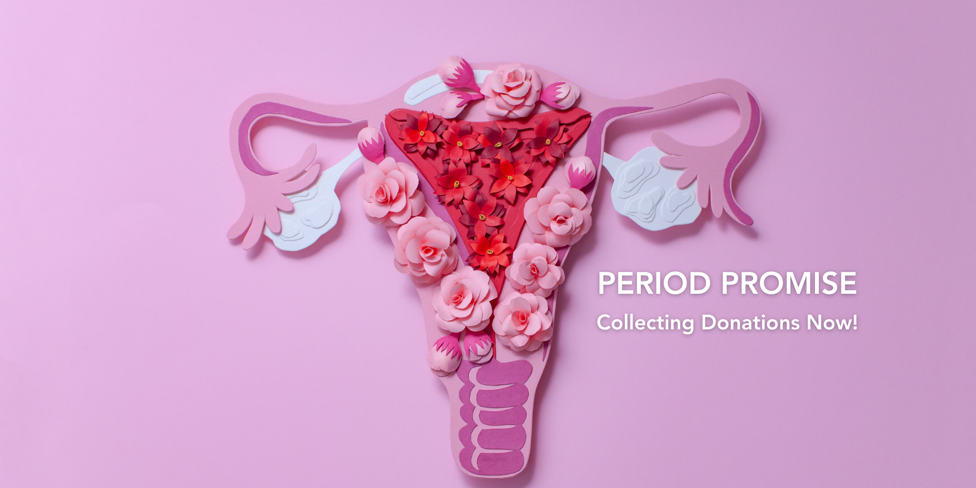 Period Promise